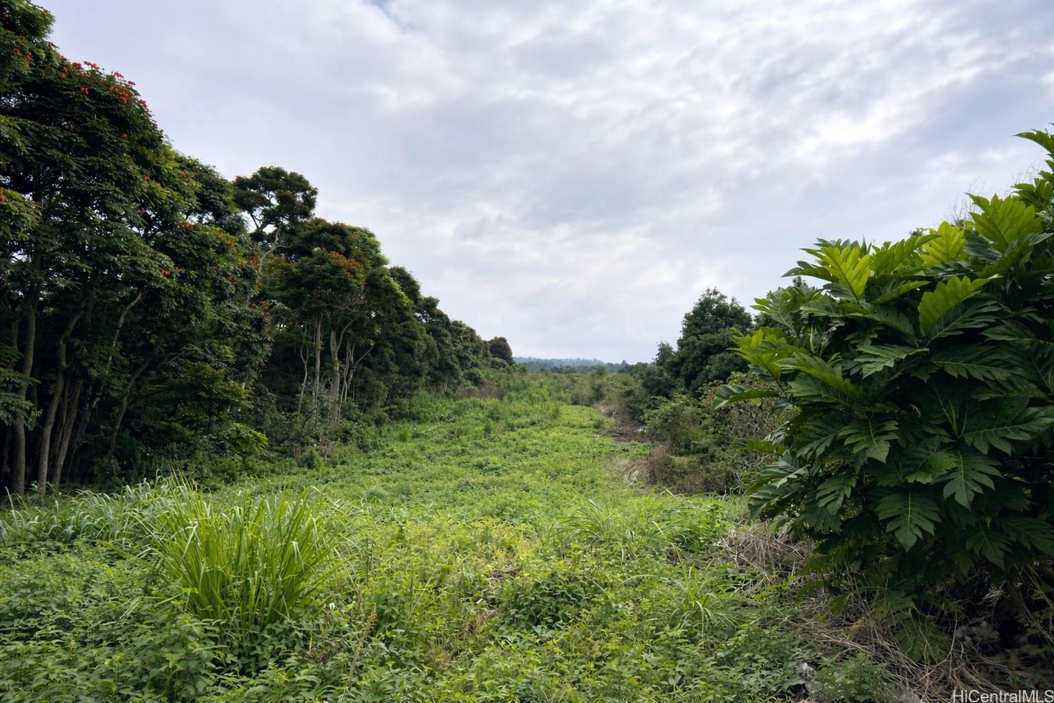 84-5186  Mamalahoa Hwy Honaunau Mauka, South Kona home - photo 23 of 25