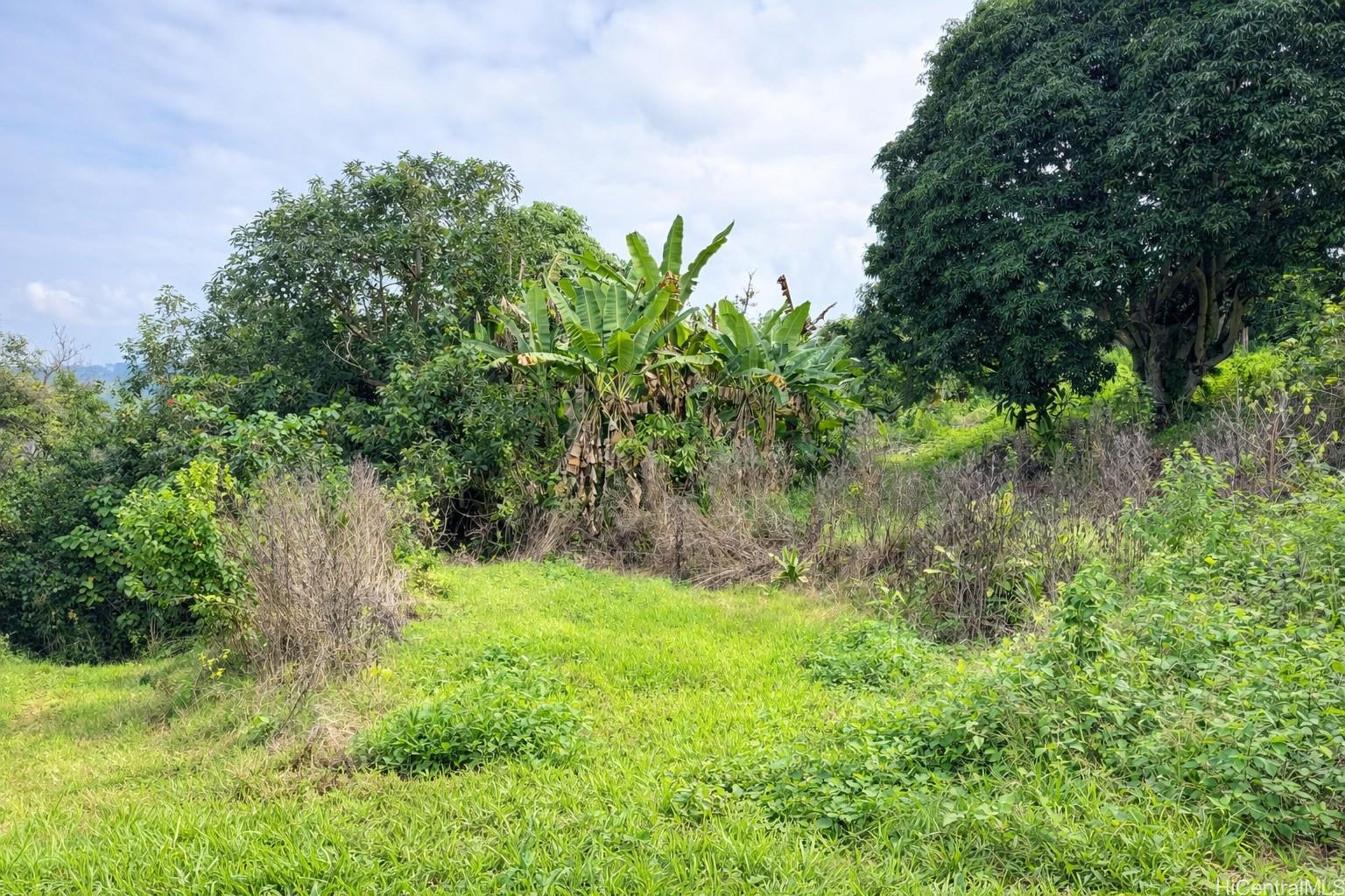 84-5186  Mamalahoa Hwy Honaunau Mauka, South Kona home - photo 24 of 25