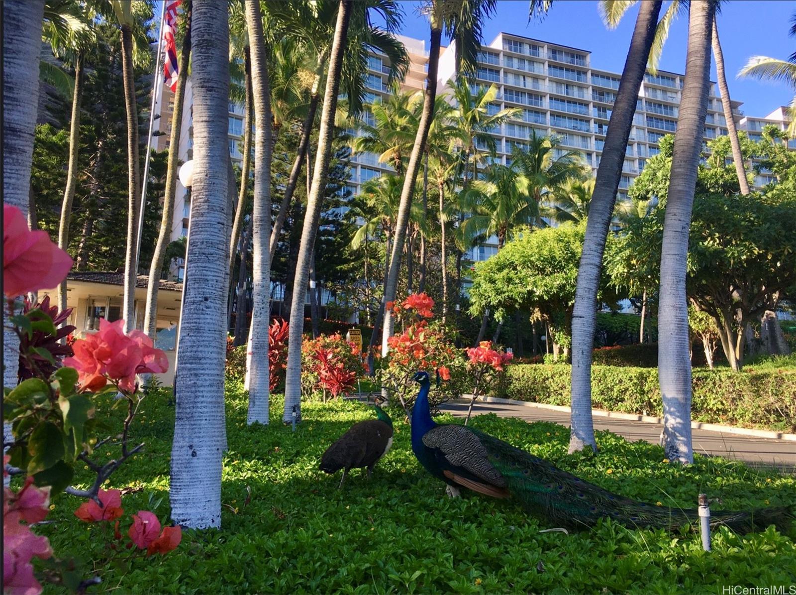 Makaha Valley Towers condo # 1001, Waianae, Hawaii - photo 19 of 19