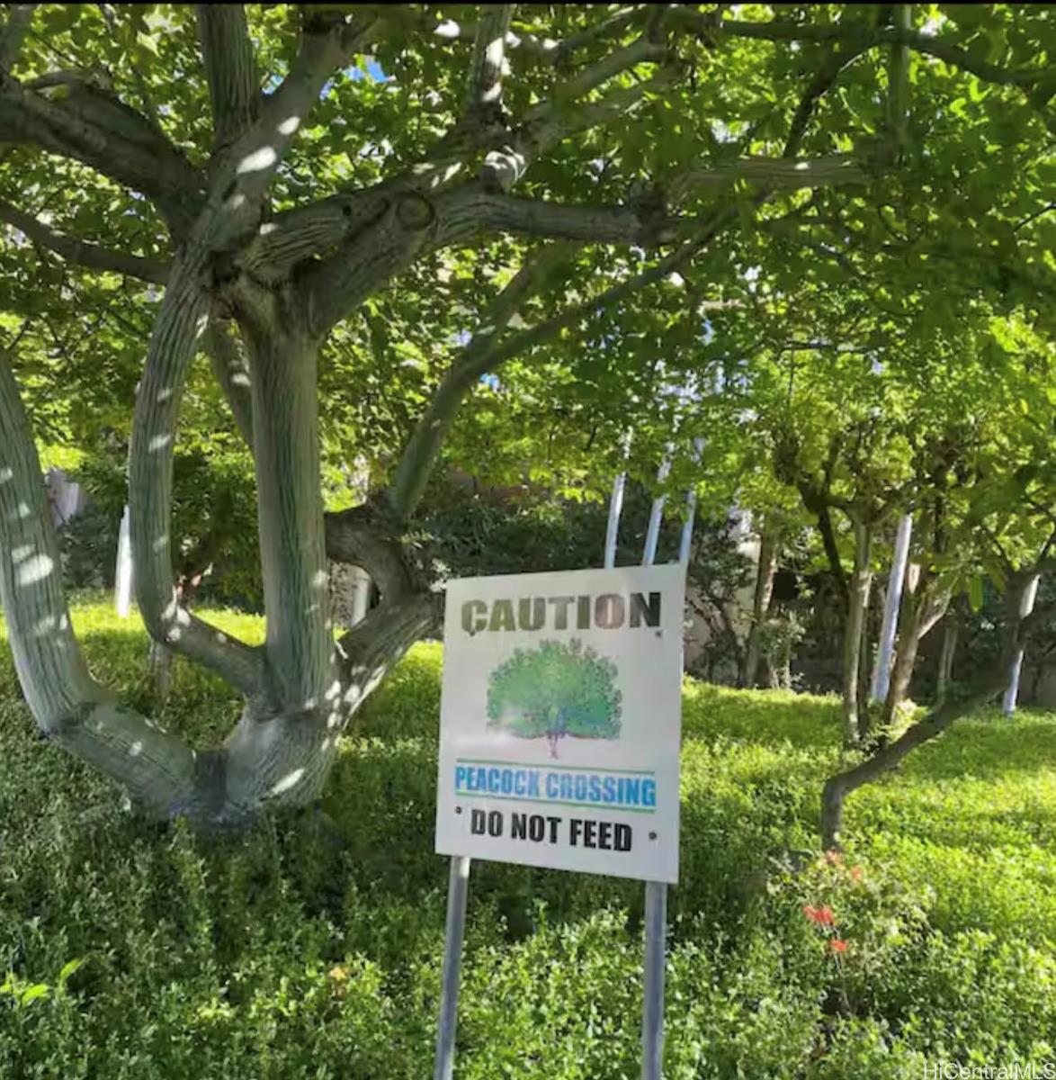 Makaha Valley Towers condo # B1206, Waianae, Hawaii - photo 7 of 25