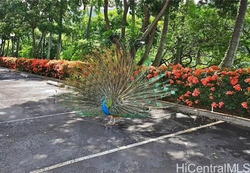 Makaha Valley Towers condo # C1310, Waianae, Hawaii - photo 20 of 22