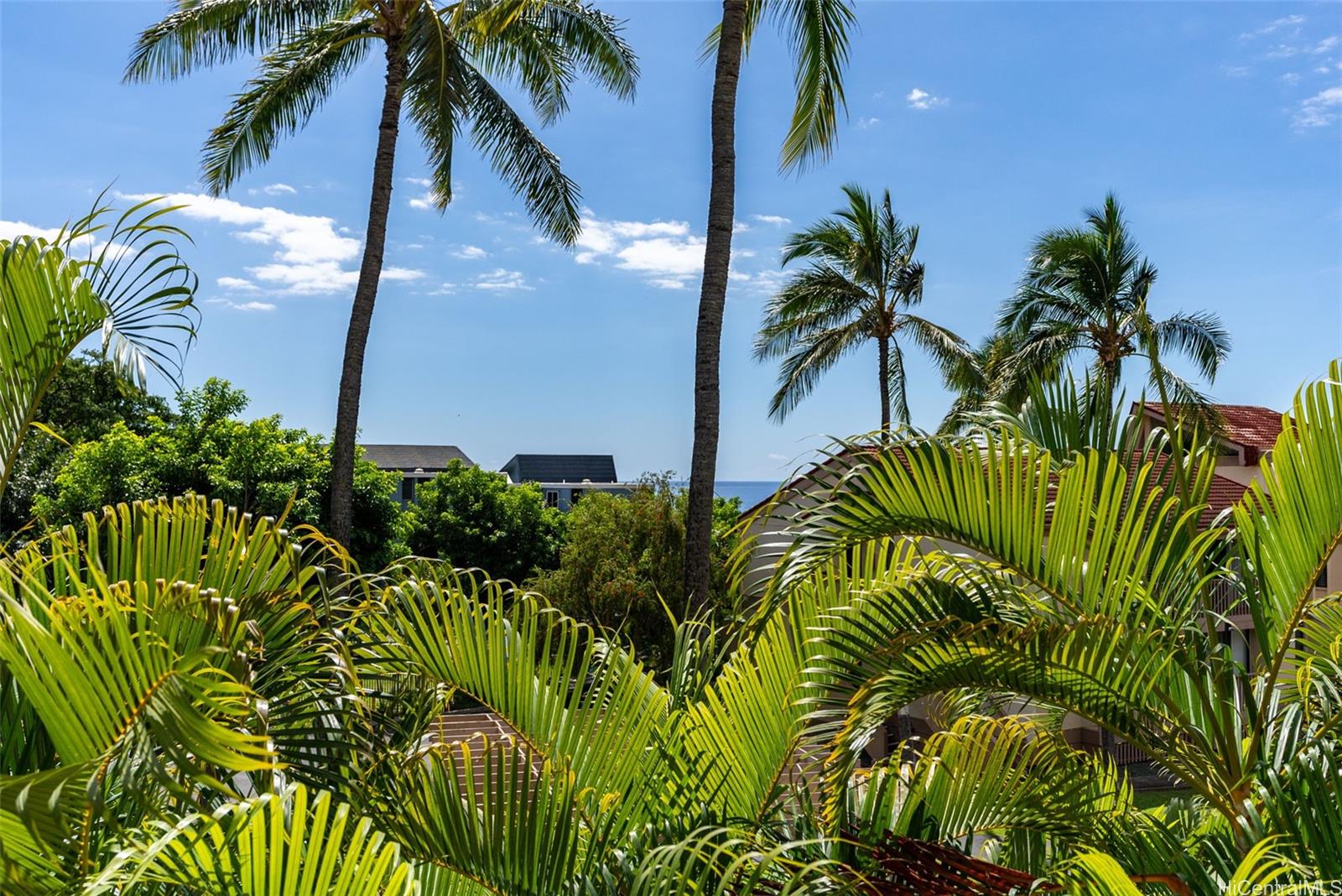 Makaha Valley Pltn condo # 166B, Waianae, Hawaii - photo 14 of 25