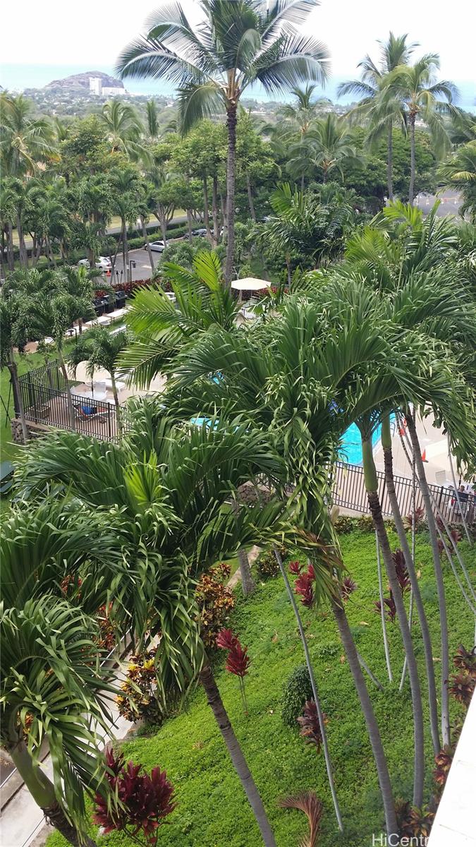 Makaha Valley Towers condo # 324, Waianae, Hawaii - photo 6 of 11