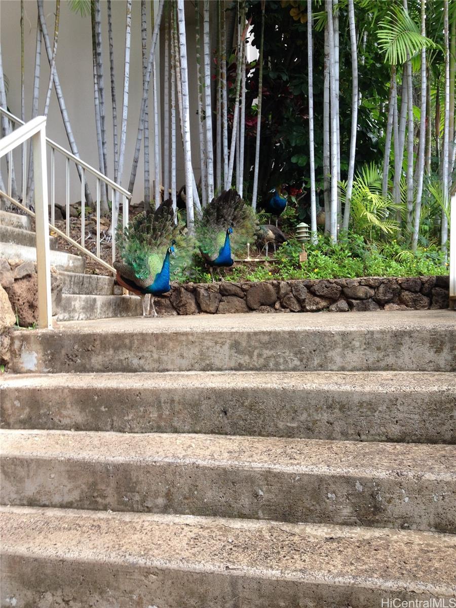 Makaha Valley Towers condo # H629, Waianae, Hawaii - photo 9 of 10