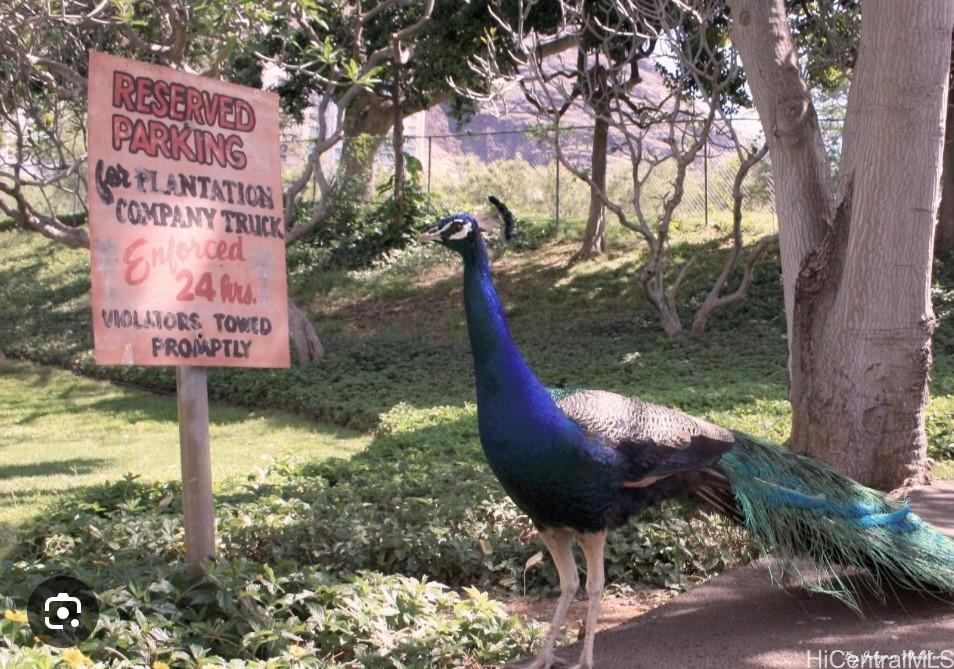 84-754 Ala Mahiku Street Waianae - Rental - photo 24 of 24
