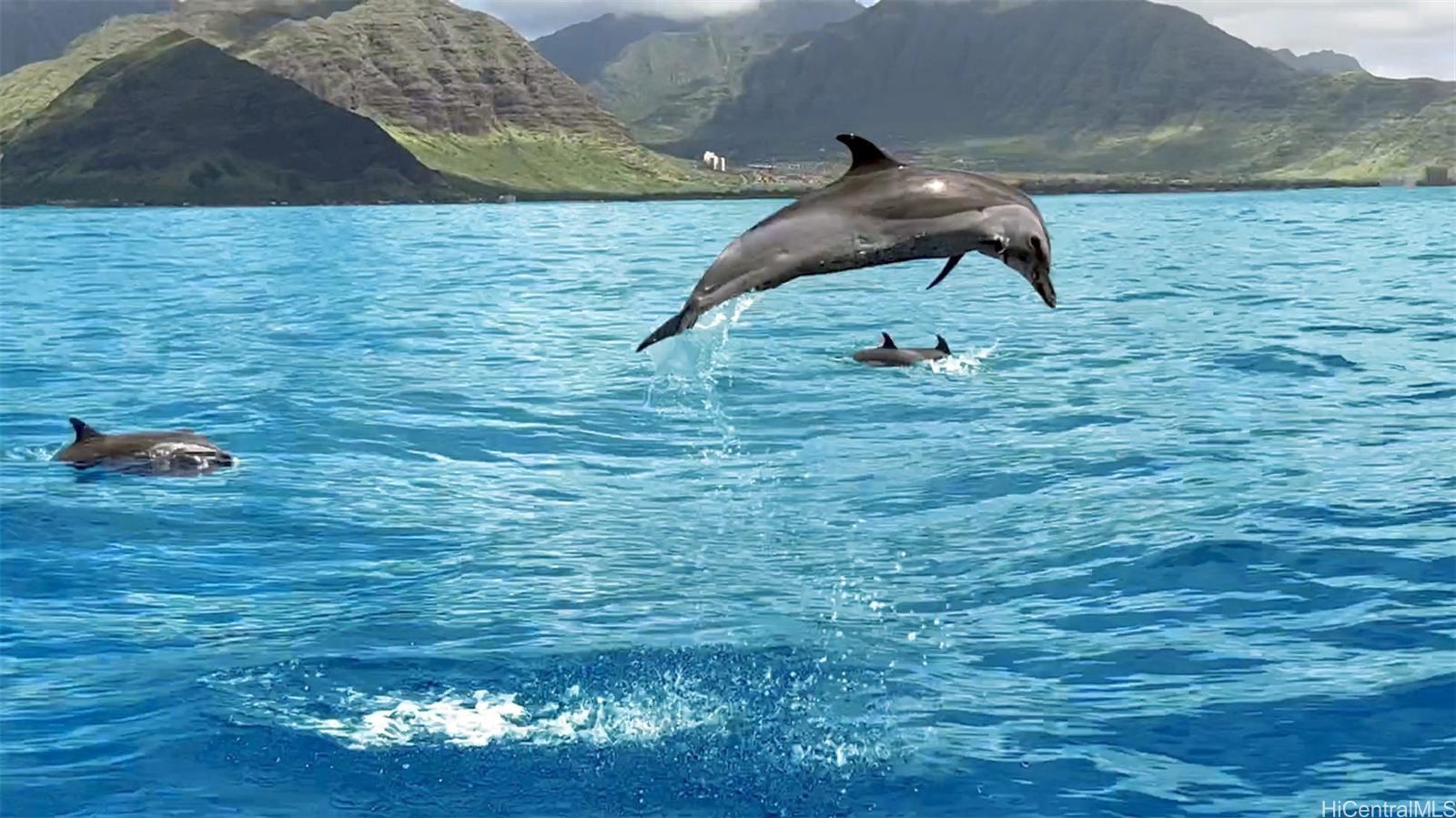 84-781  Moua Street Makaha, Leeward home - photo 16 of 19