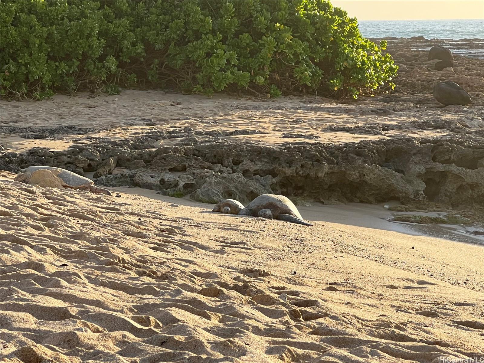 84-781  Moua Street Makaha, Leeward home - photo 18 of 19