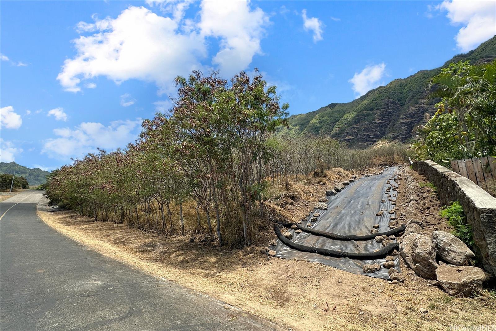 84-909 Alahele Street  Waianae, Hi vacant land for sale - photo 13 of 18