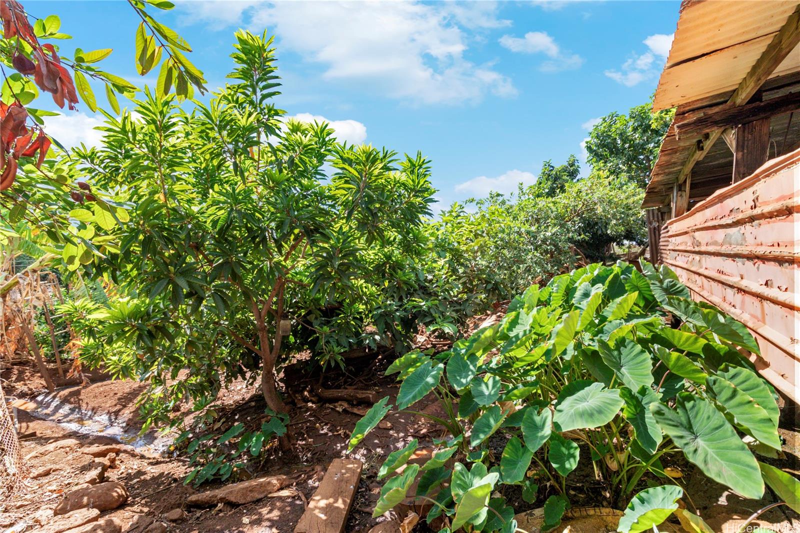 85-1490  Waianae Valley Rd Waianae, Leeward home - photo 15 of 17
