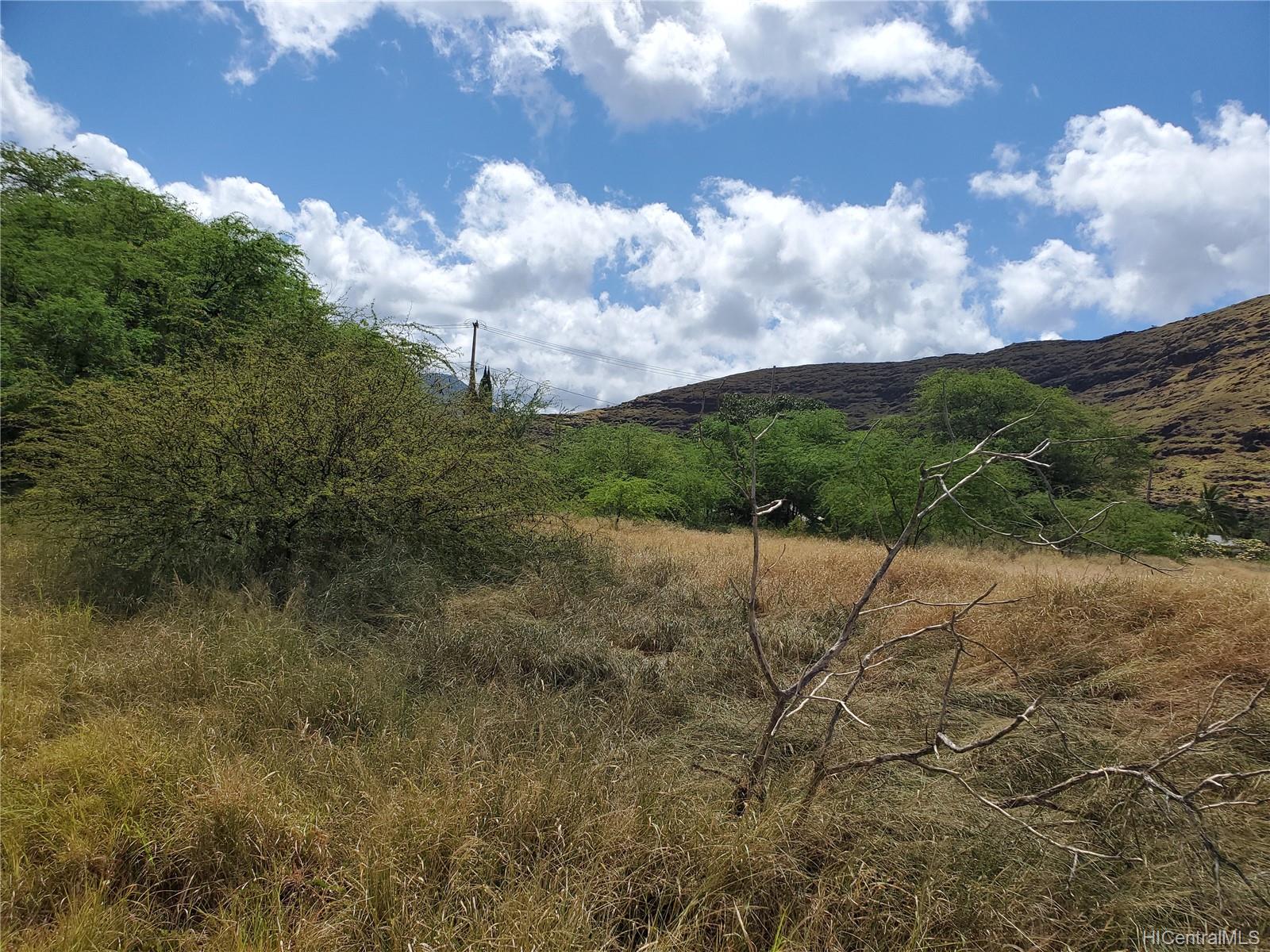 85-560 Waianae Valley Road  Waianae, Hi vacant land for sale - photo 4 of 15