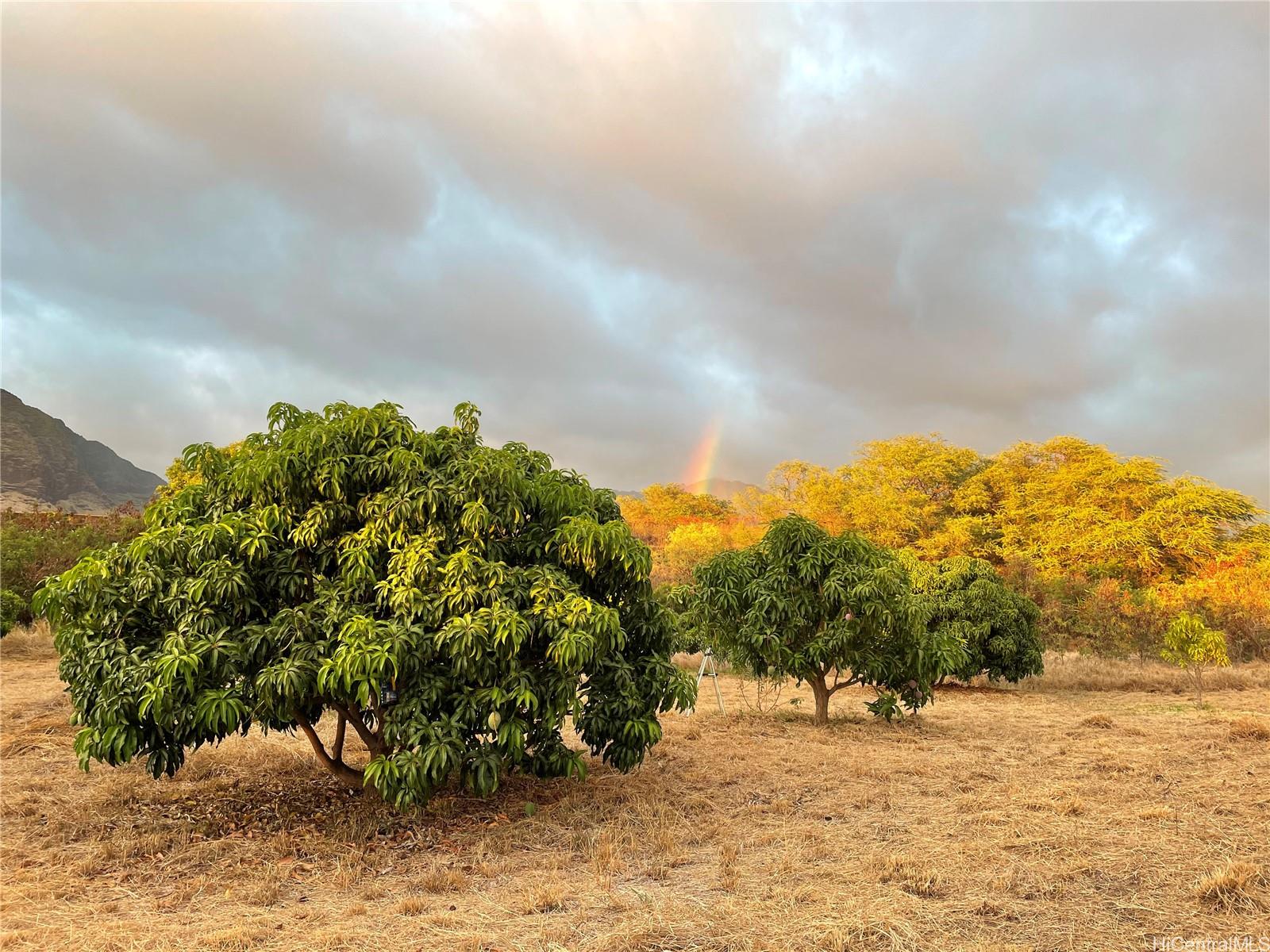 85-775A  Waianae Valley Road Waianae, Leeward home - photo 18 of 25