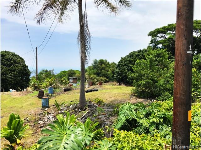 86 Hawaii Belt Rd  Captain Cook, Hi vacant land for sale - photo 3 of 5