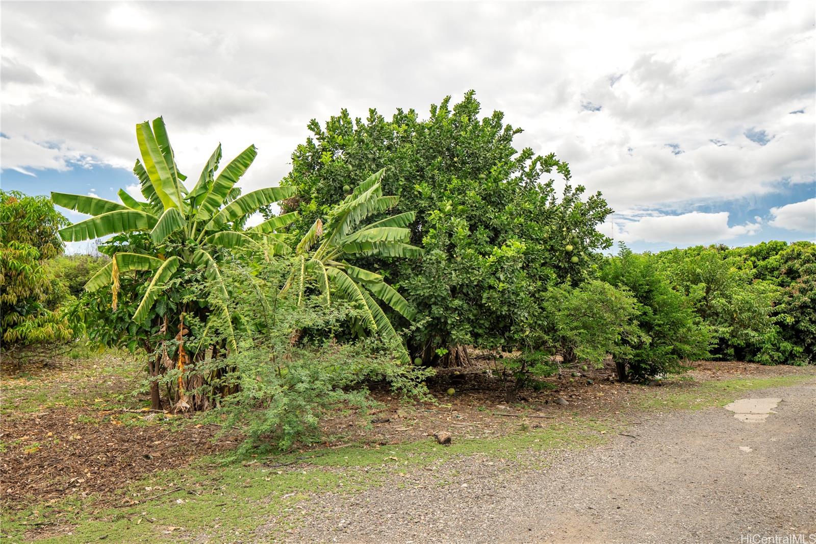 86-347 Halona Road  Waianae, Hi vacant land for sale - photo 17 of 22