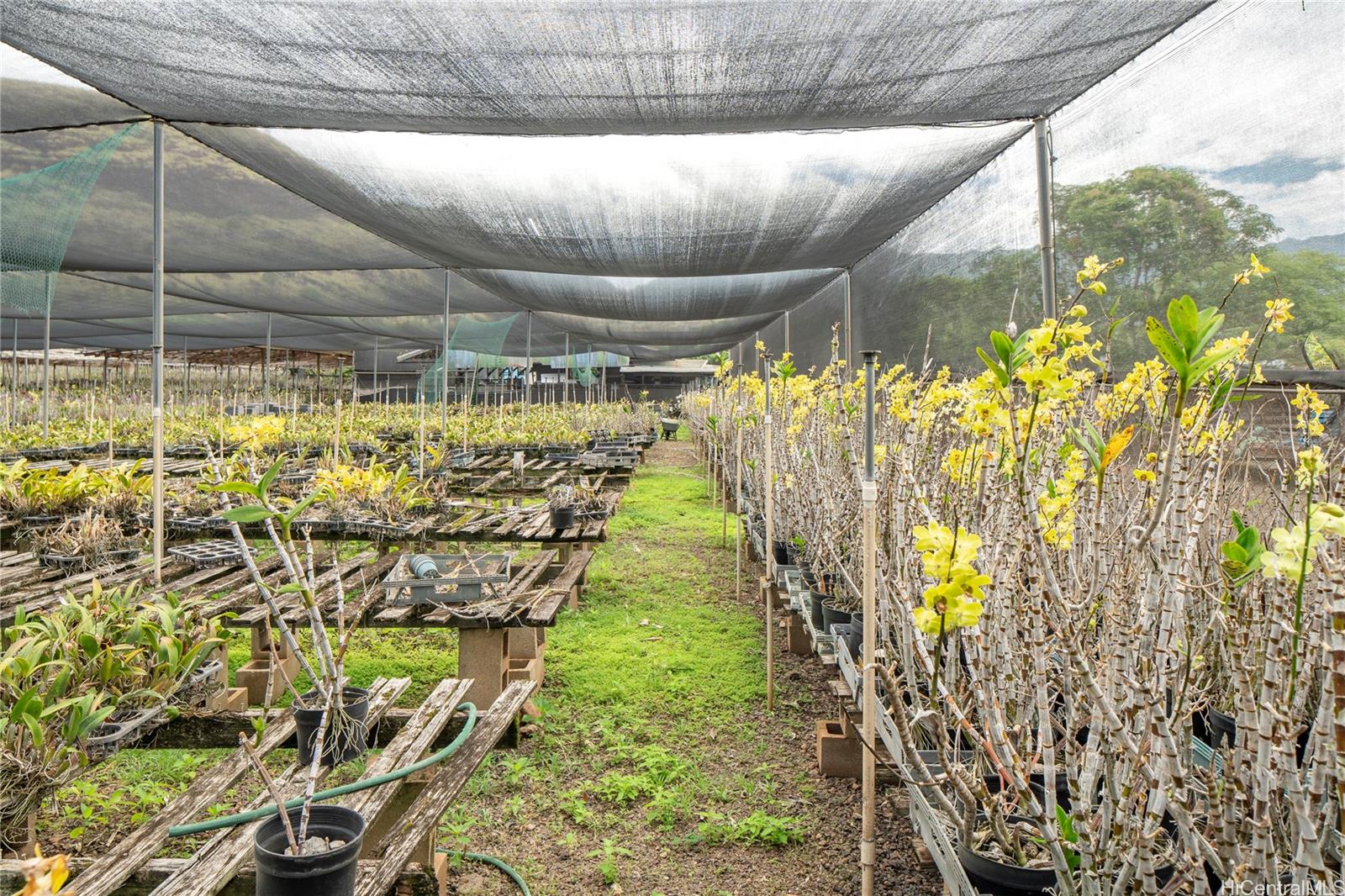 86-347 Halona Road Waianae Oahu commercial real estate photo3 of 22