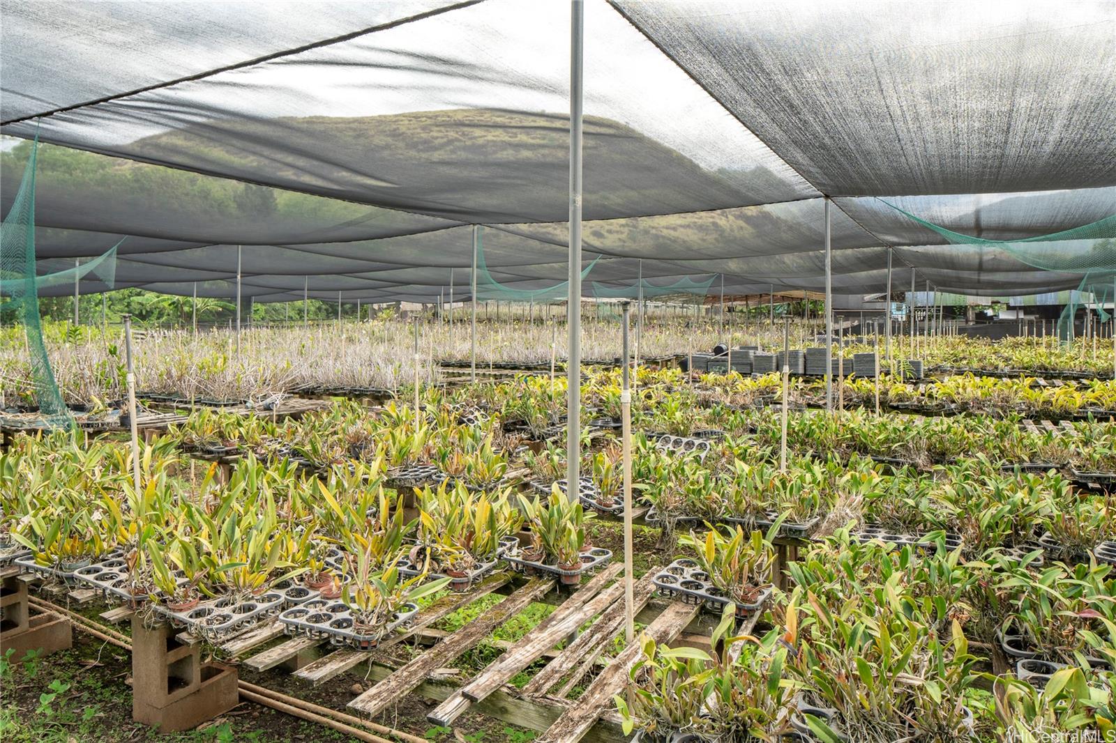 86-347 Halona Road Waianae Oahu commercial real estate photo4 of 22