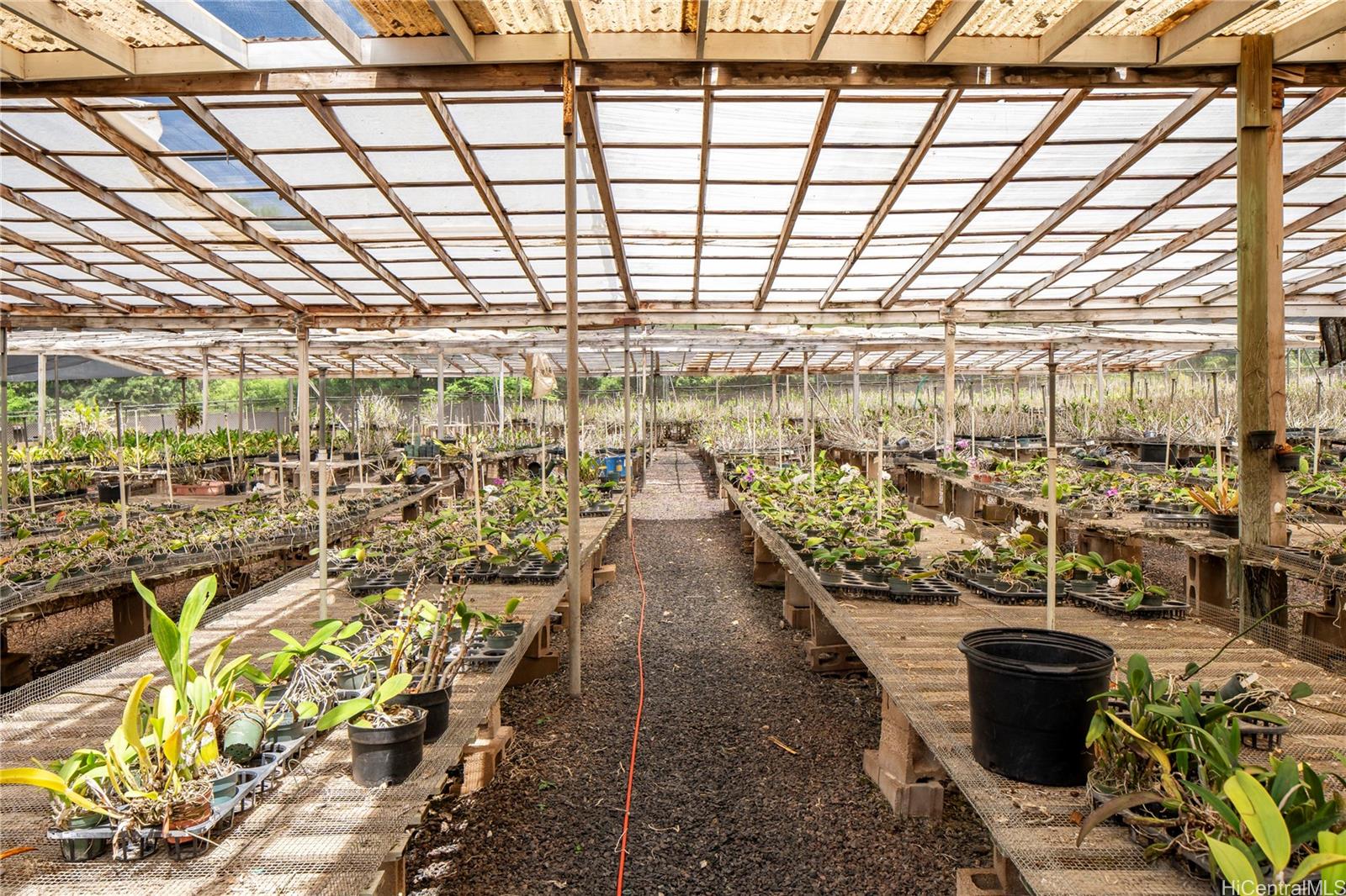 86-347 Halona Road Waianae Oahu commercial real estate photo5 of 22