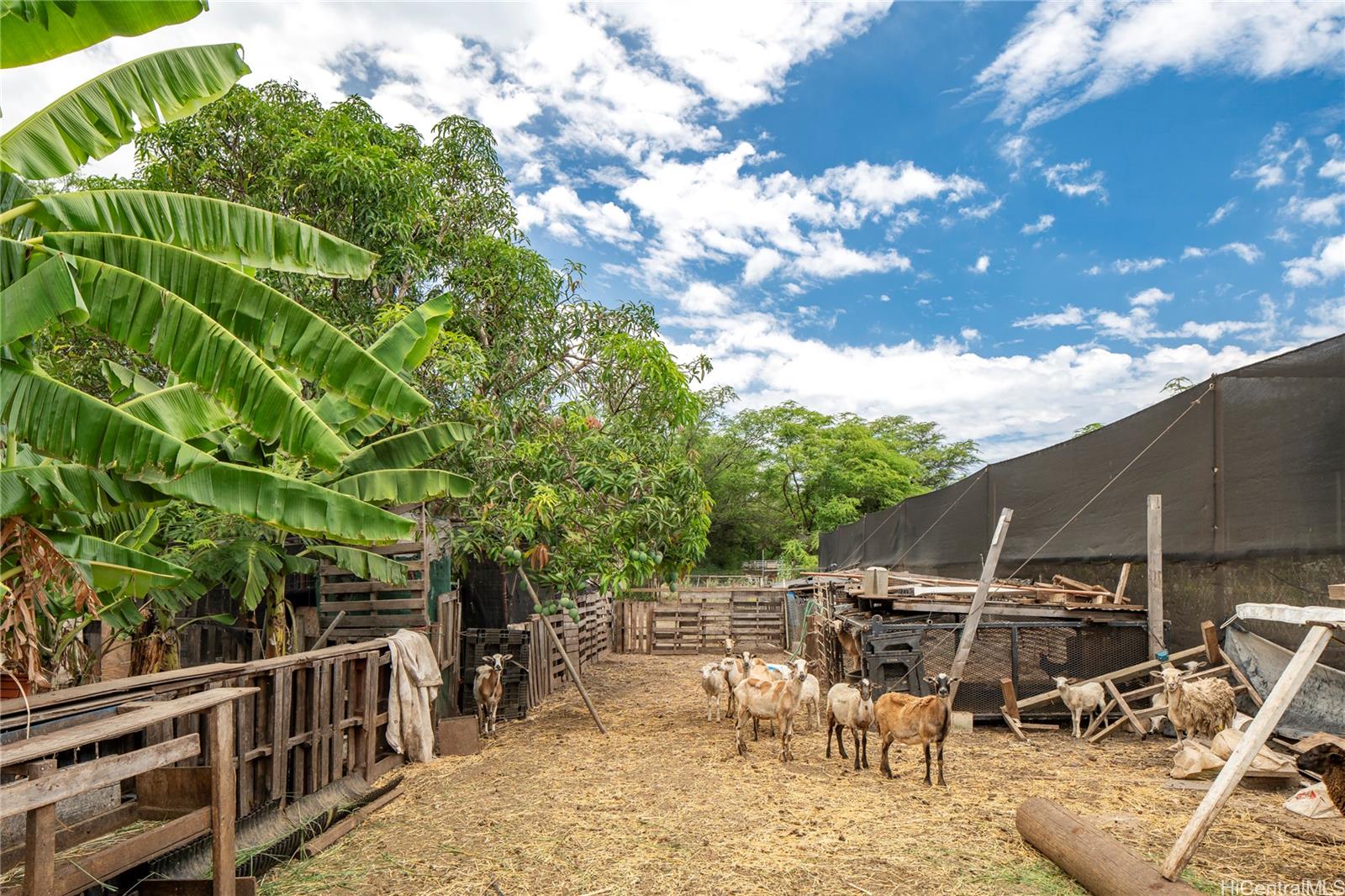 86-347 Halona Road Waianae Oahu commercial real estate photo9 of 22