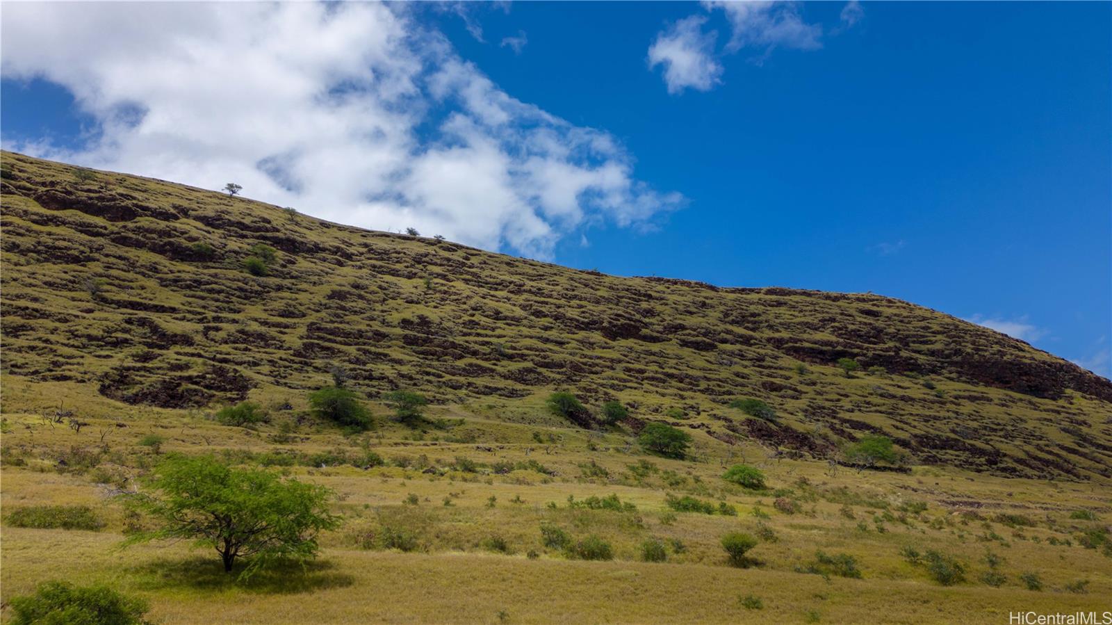 86-896 Iniki Place Iniki Place  Waianae, Hi vacant land for sale - photo 5 of 16