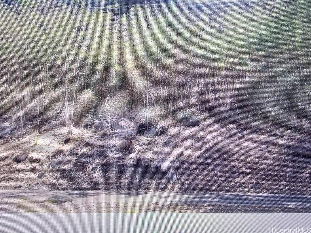 869 Nana Honua St  Honolulu, Hi vacant land for sale - photo 2 of 4