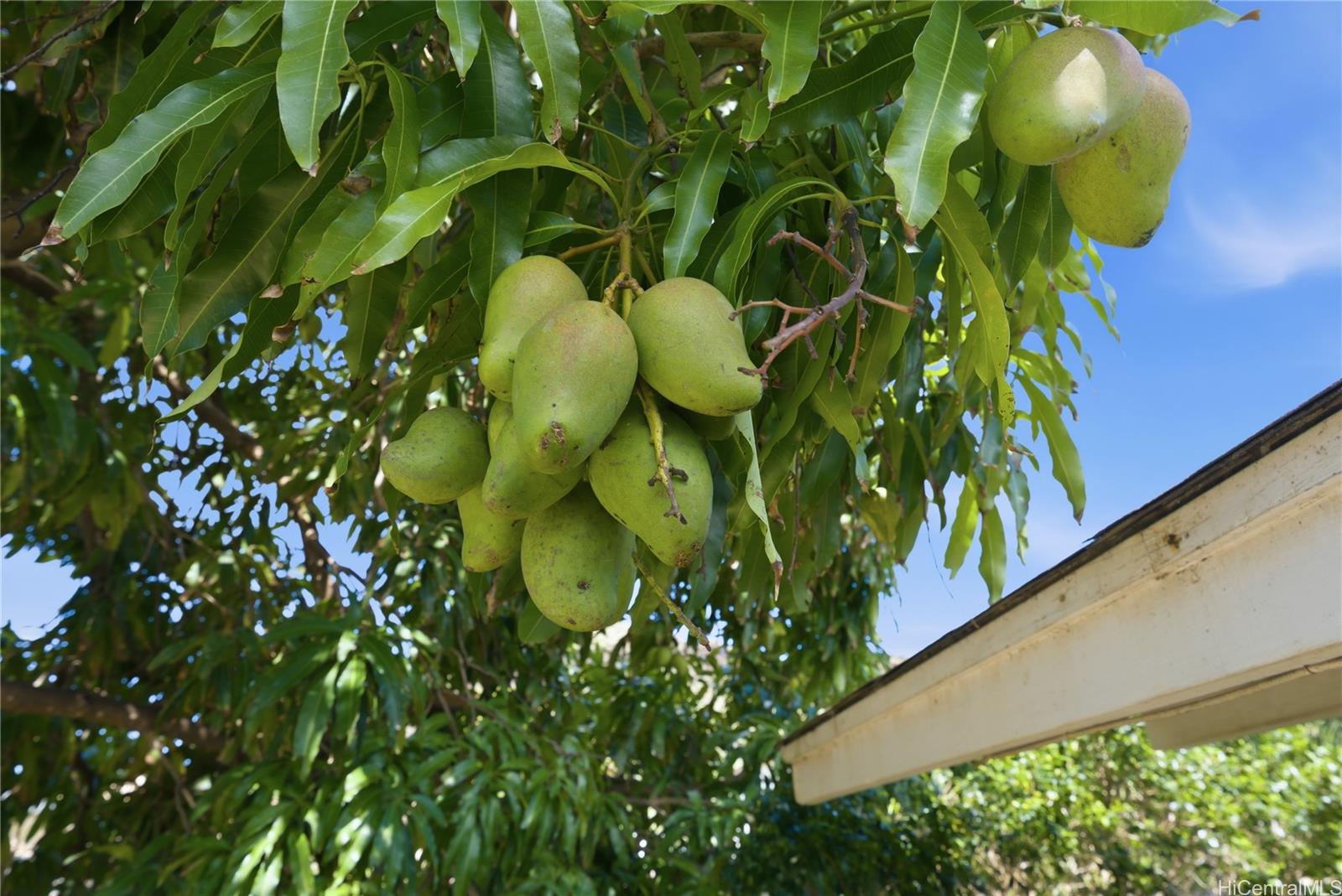 87-146  Lualei Pl Maili, Leeward home - photo 18 of 25