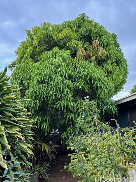 87-170  Maliona Street Maili, Leeward home - photo 21 of 25