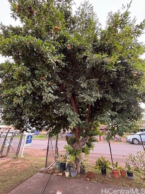 87-170  Maliona Street Maili, Leeward home - photo 22 of 25