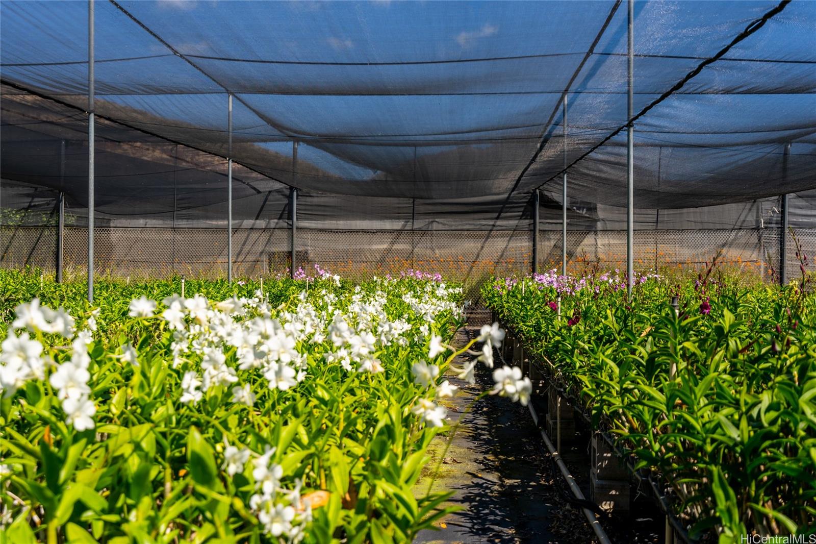 87-201  Paakea Road Maili, Leeward home - photo 18 of 19