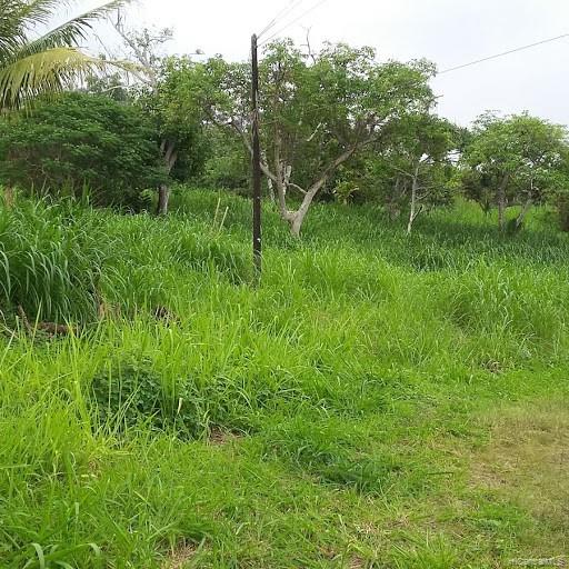 87-2720 Hawaii Belt Road  Captain Cook, Hi vacant land for sale - photo 2 of 5