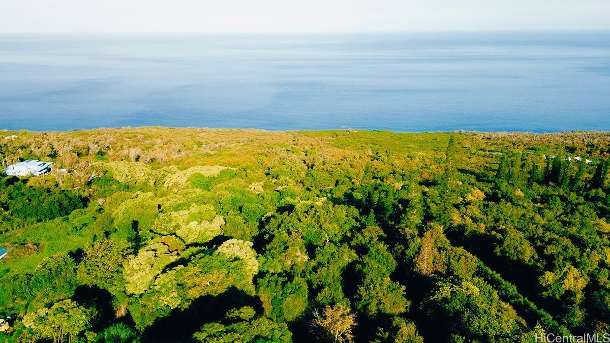 87-2721 Hawaii Belt Rd  Captain Cook, Hi vacant land for sale - photo 11 of 20