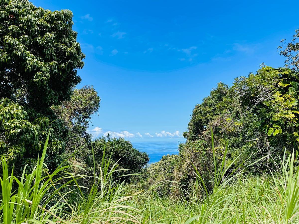 87-2721 Hawaii Belt Rd  Captain Cook, Hi vacant land for sale - photo 14 of 20