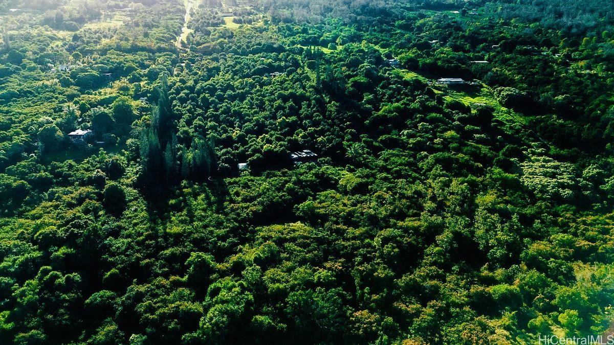 87-2721 Hawaii Belt Rd  Captain Cook, Hi vacant land for sale - photo 7 of 20