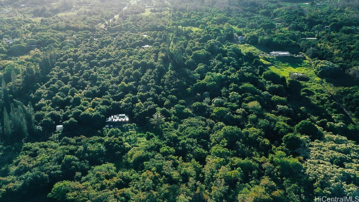 87-2721 Hawaii Belt Rd  Captain Cook, Hi vacant land for sale - photo 8 of 20