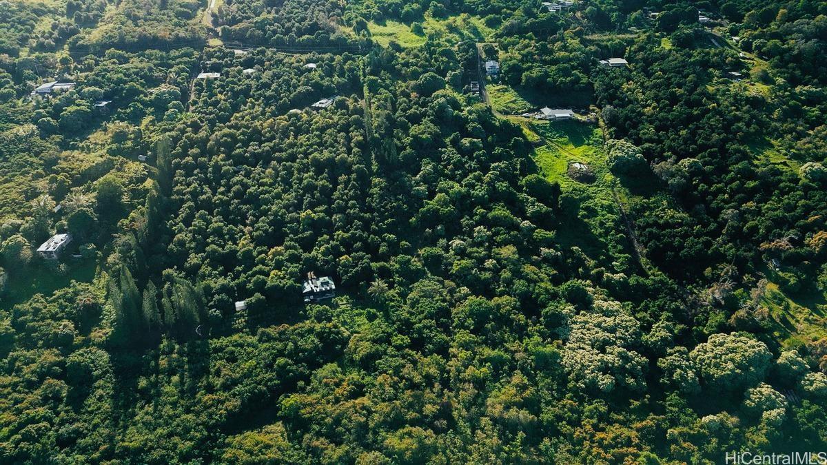 87-2721 Hawaii Belt Rd  Captain Cook, Hi vacant land for sale - photo 10 of 20