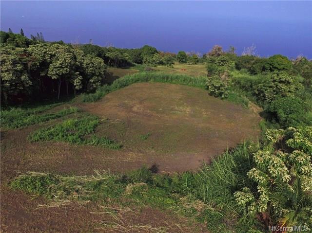 87-2771 Mamalahoa Hwy 2 Captain Cook, Hi vacant land for sale - photo 2 of 8