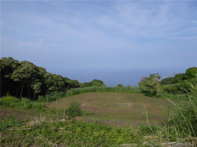 87-2771 Mamalahoa Hwy 2 Captain Cook, Hi vacant land for sale - photo 8 of 8