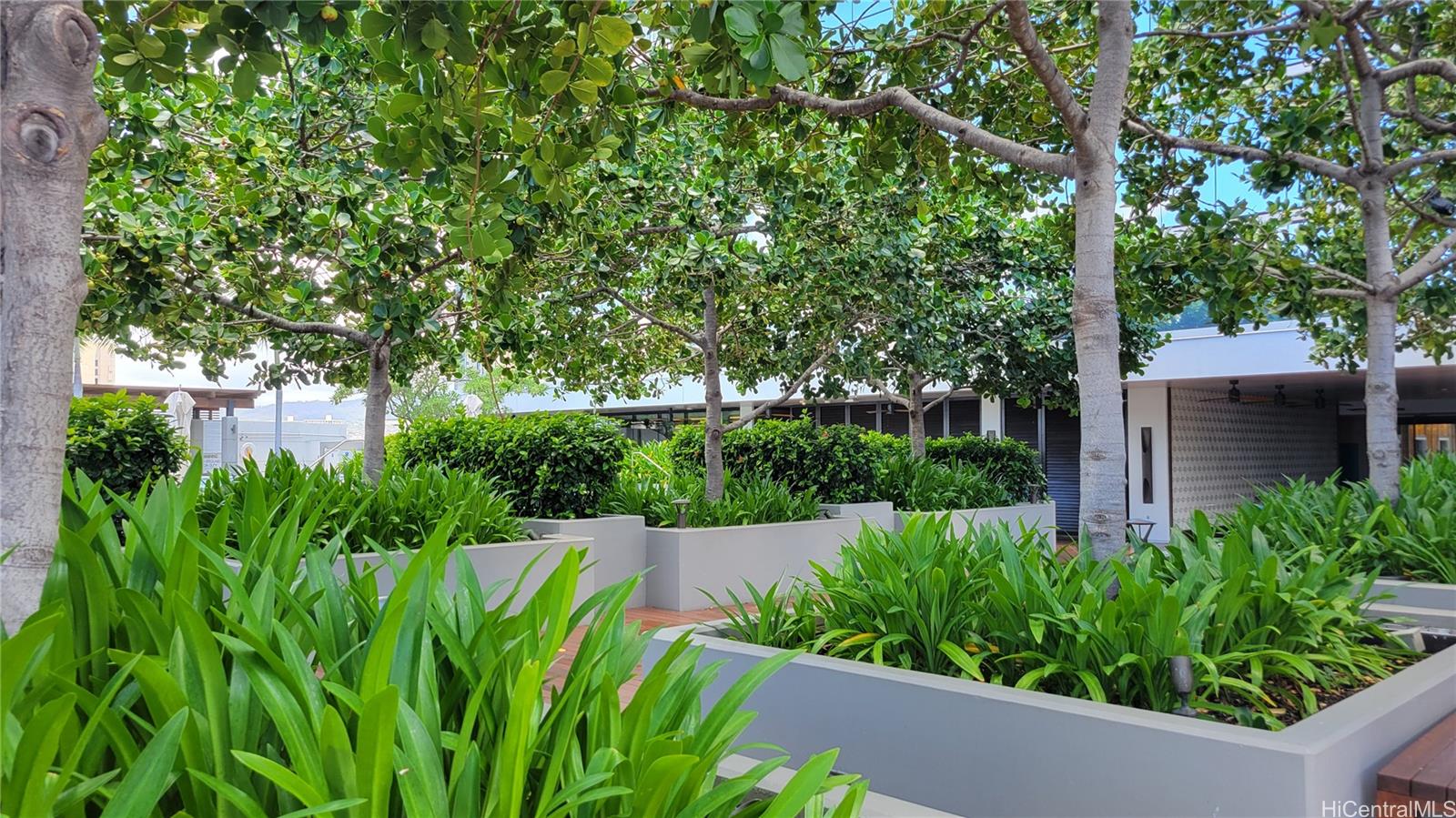 888 Kapiolani Blvd Honolulu - Rental - photo 21 of 21