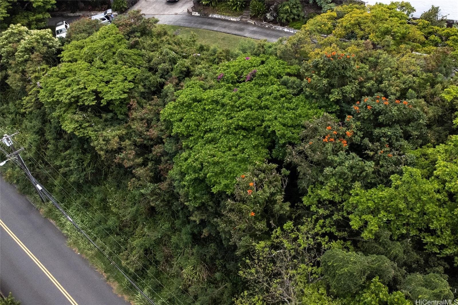 900 Alewa Drive  Honolulu, Hi vacant land for sale - photo 5 of 10
