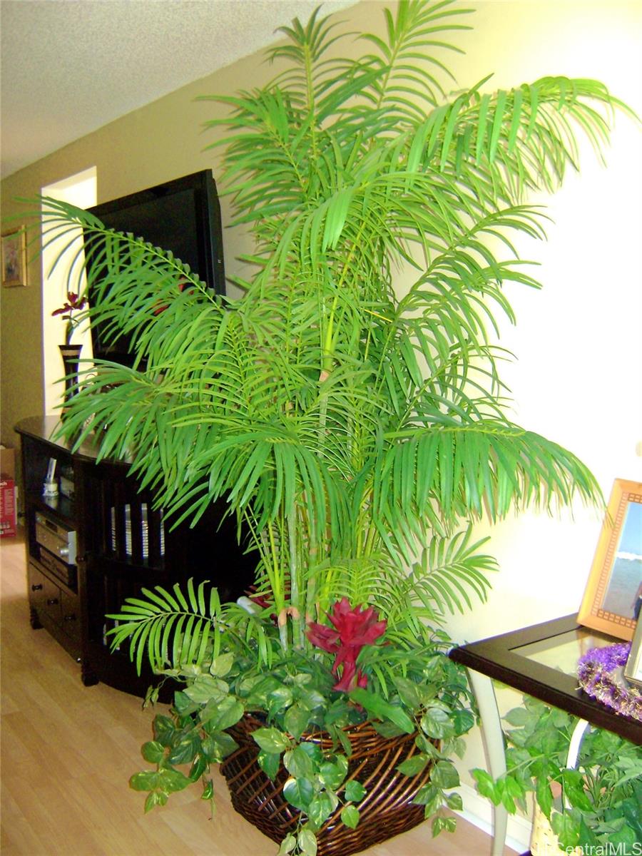 91-1059  Opaehuna St Westloch Estates, Ewaplain home - photo 5 of 23