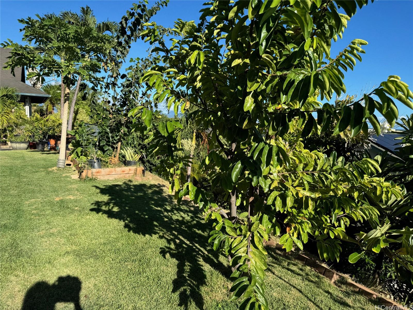 91-1431  Halahua Street Kapolei Knolls, Ewaplain home - photo 11 of 12