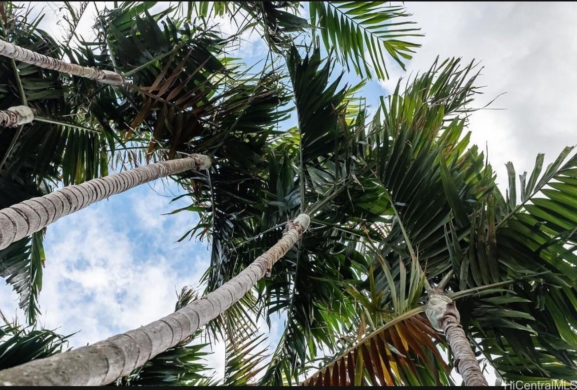 91-313  Hoalauna Place Ewa Gen Prescott, Ewaplain home - photo 22 of 23