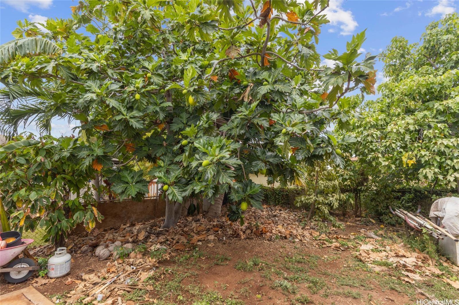 91-688  Kilinahe Street Ewa Beach, Ewaplain home - photo 6 of 6