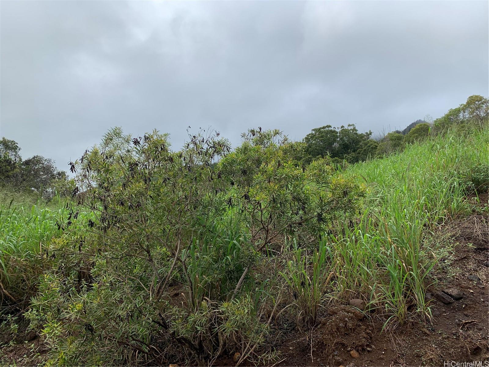 921100 KUNIA Road 9 B Waipahu Ag/preserve Land Sold