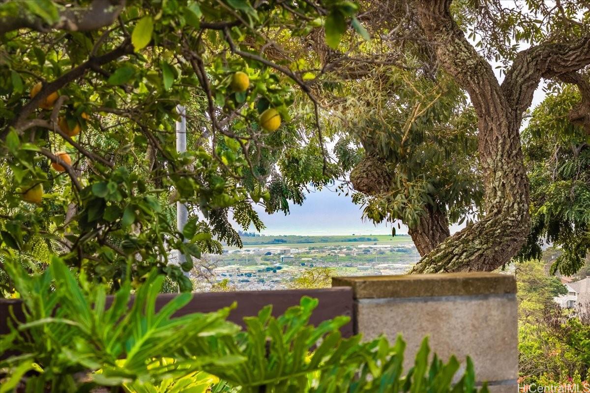 92-1263  Hauone St Makakilo-palehua Hgts, Makakilo home - photo 16 of 25