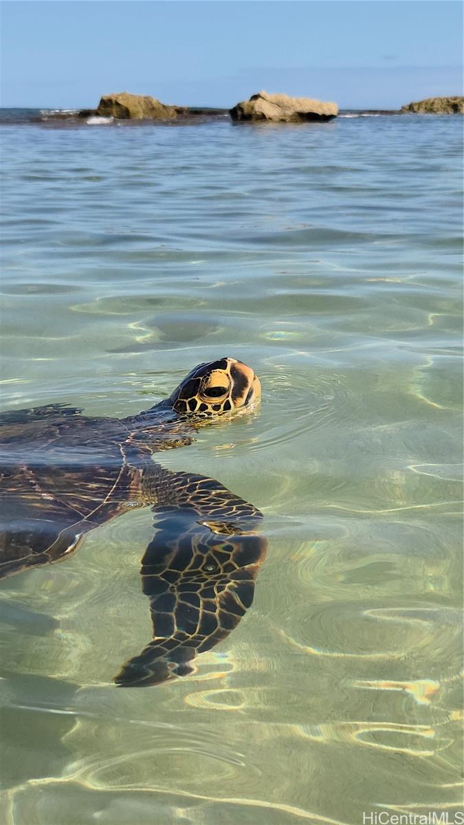 Ko Olina Hillside Villas condo # 1708, Kapolei, Hawaii - photo 22 of 25