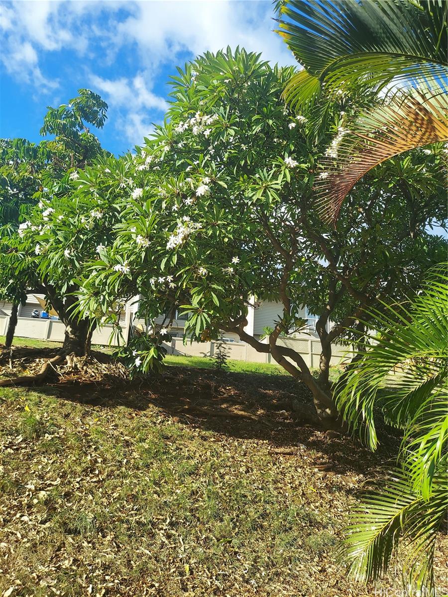 92-755 Makakilo Drive townhouse # 52, Kapolei, Hawaii - photo 18 of 19
