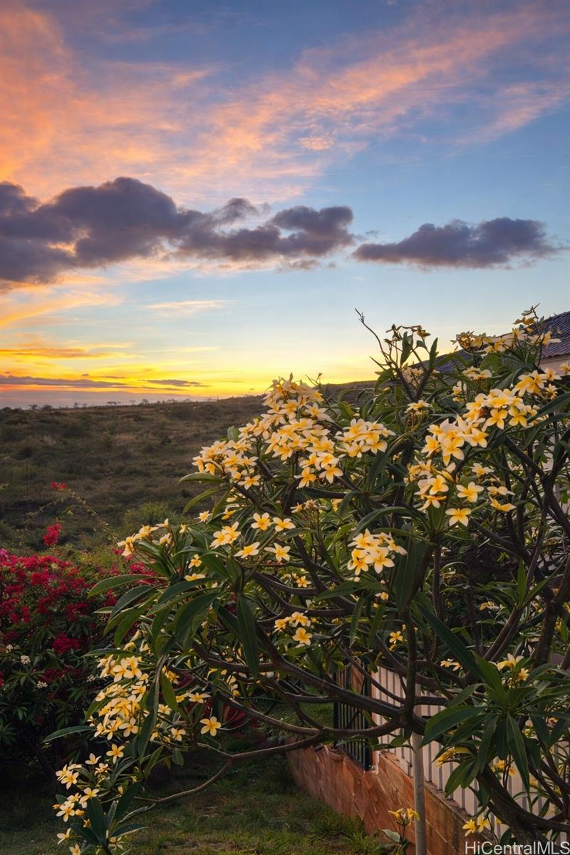 92-876  Panana St Makakilo-upper, Makakilo home - photo 23 of 25