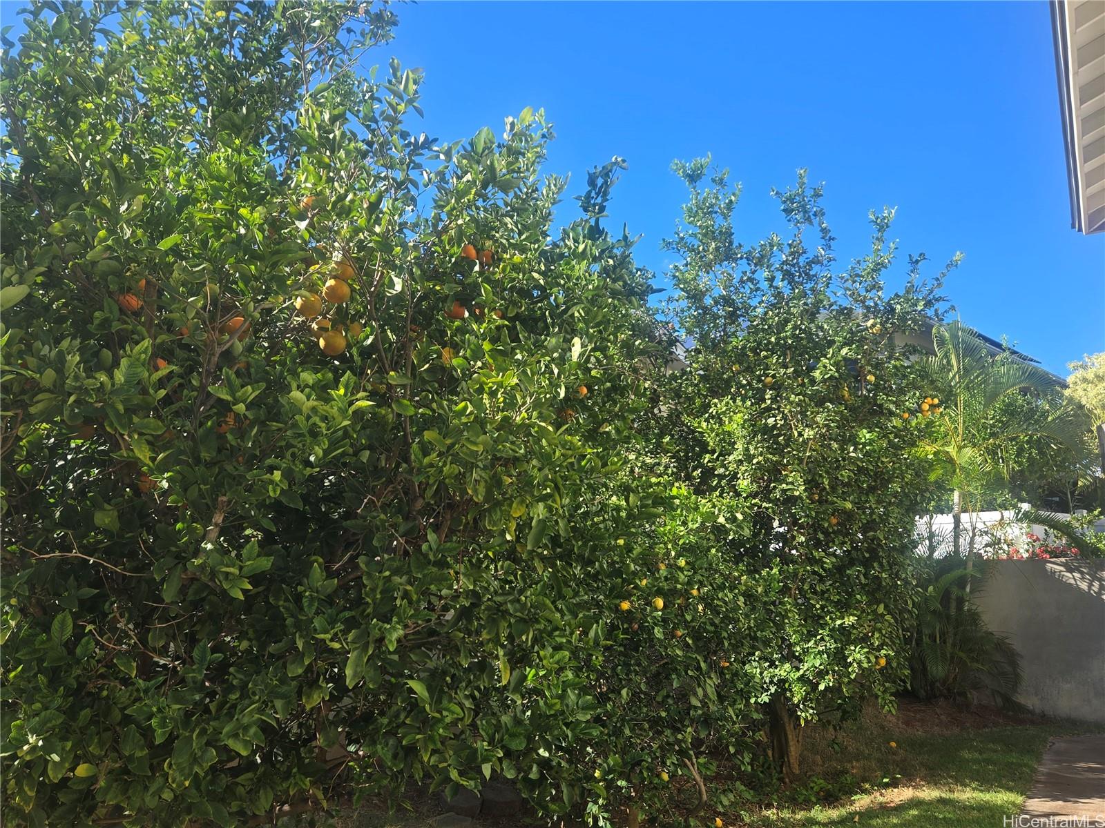 94-1008  Makakoa Loop Royal Kunia, Waipahu home - photo 11 of 25