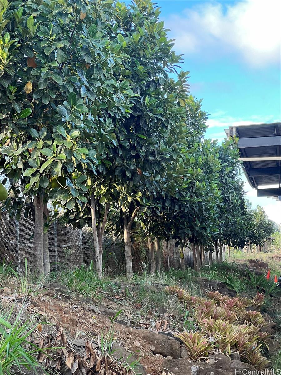 94-1100 Kunia Road 0045 Waipahu, Hi vacant land for sale - photo 3 of 8