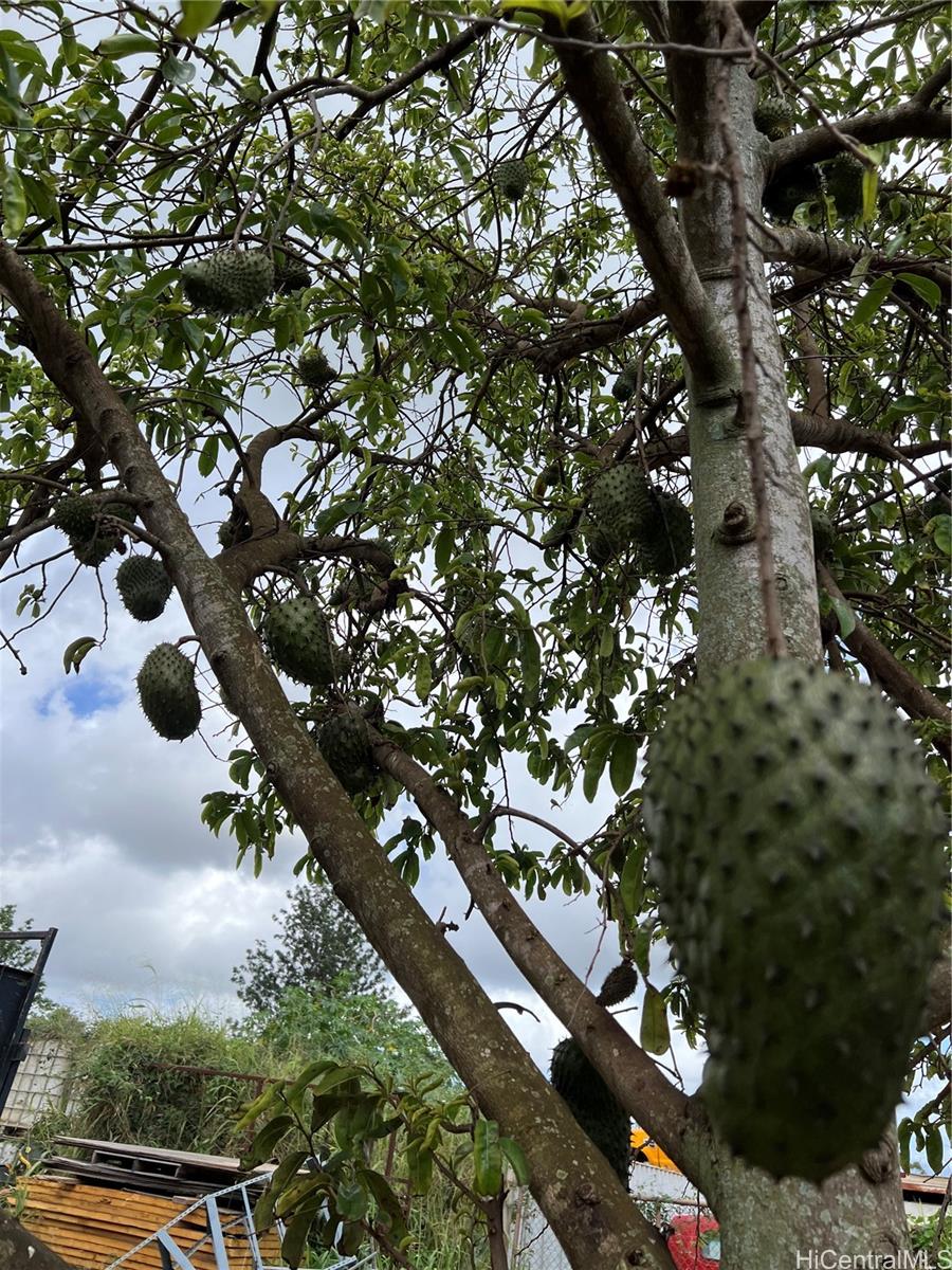 94-1100 Kunia Road 0045 B Waipahu, Hi vacant land for sale - photo 11 of 13