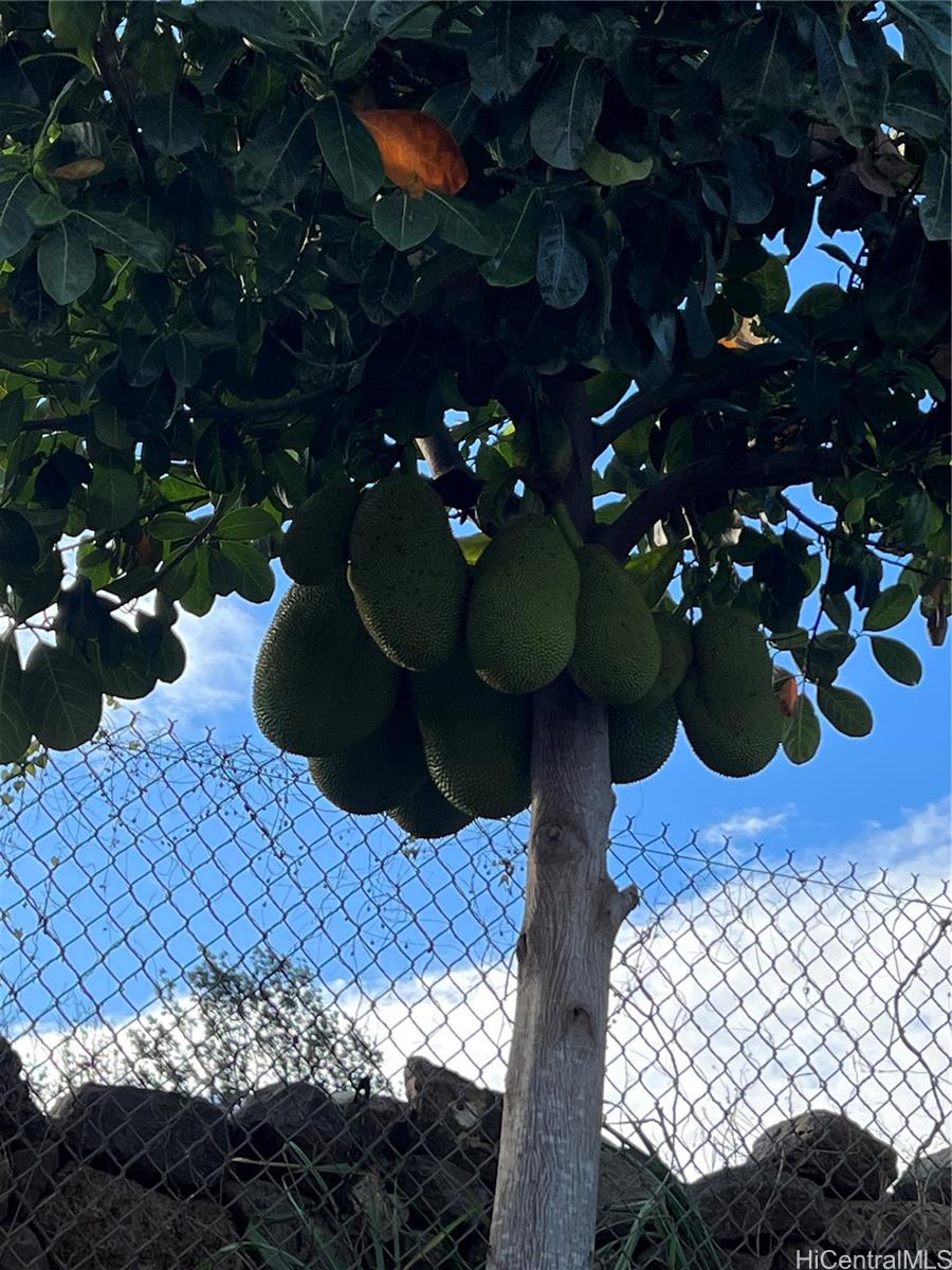 94-1100 Kunia Road 0045 B Waipahu, Hi vacant land for sale - photo 4 of 13